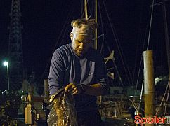 Zdjęcia promocyjne 2 sezonu serialu Bloodline