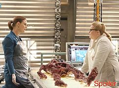 Kości: 11x16 The Strike in the Chord - zdjęcia promocyjne