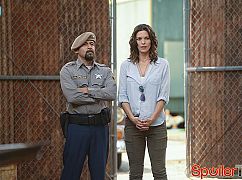 Criminal Minds: Beyond Borders: 1x11 The Ballad of Nick and Nat - zdjęcia promocyjne