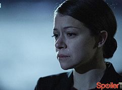 Orphan Black: 4x07 The Antisocialism Of Sex - zdjęcia promocyjne