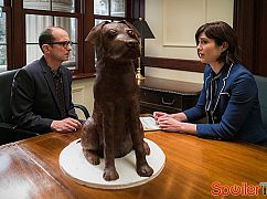 BrainDead: 1x01 Pilot - zdjęcia promocyjne