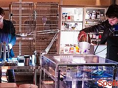 Zoo: 2x03 Collision Point  - zdjęcia promocyjne