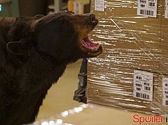 Ostatni prawdziwy mężczyzna: 6x01 Papa Bear - zdjęcia promocyjne