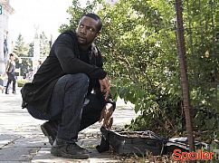 Blindspot: 2x03 Hero Fears Imminent Rot - zdjęcia promocyjne
