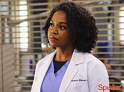 Chirurdzy: 13x03 I Ain't No Miracle Worker - zdjęcia promocyjne