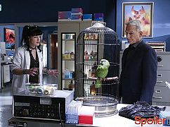 Agenci NCIS: 14x03 Privileged Information - zdjęcia promocyjne
