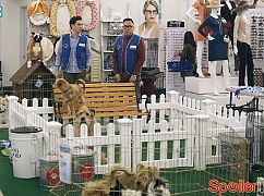Superstore: 2x05 Dog Adoption Day - zdjęcia promocyjne