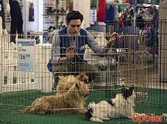 Superstore: 2x05 Dog Adoption Day - zdjęcia promocyjne