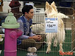 Superstore: 2x05 Dog Adoption Day - zdjęcia promocyjne