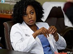 Chirurdzy: 13x07 Why Try to Change Me Now - zdjęcia promocyjne