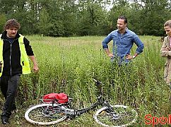 Barwy szczęścia odc. 1546 - zdjęcia promocyjne