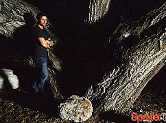 Shooter: 1x06 Killing Zone - zdjęcia promocyjne