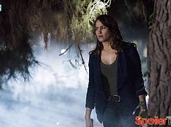 Rosewood: 2x13 Puffer Fish & Personal History - zdjęcia promocyjne