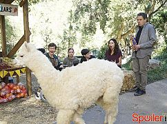 Speechless: 1x11 R-O--ROAD T-R--TRIP - zdjęcia promocyjne