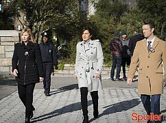 Prawo i bezprawie: 18x09 Decline and Fall - zdjęcia promocyjne