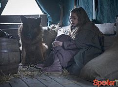 Emerald City: 1x06 Beautiful Wickedness - zdjęcia promocyjne