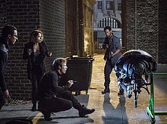 Colony: 2x05 Company Man - zdjęcia promocyjne