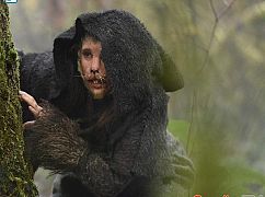 Grimm: 6x11 Where The Wild Things Were - zdjęcia promocyjne