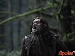 Grimm: 6x11 Where The Wild Things Were - zdjęcia promocyjne