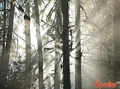 Once Upon a Time: 6x13 Ill-Boding Patterns - zdjęcia promocyjne
