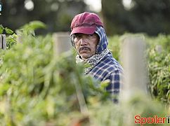 American Crime: 3x04 Episode Four - zdjęcia promocyjne