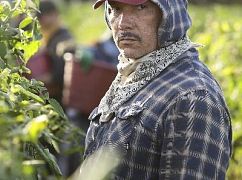 American Crime: 3x04 Episode Four - zdjęcia promocyjne