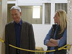 Agenci NCIS: 14x22 Beastmaster - zdjęcia promocyjne