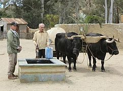 Agenci NCIS: 14x24 Rendezvous - zdjęcia promocyjne