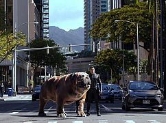 Zdjęcia promocyjne 1 sezonu serialu The Inhumans