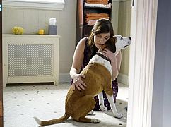 Downward Dog: 1x01 Pilot - zdjęcia promocyjne