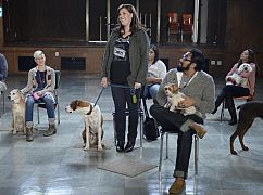 Downward Dog: 1x01 Pilot - zdjęcia promocyjne