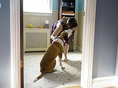 Downward Dog: 1x01 Pilot - zdjęcia promocyjne