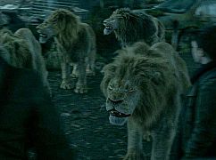 Zoo: 3x01 No Place Like Home - zdjęcia promocyjne