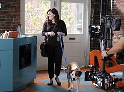 Downward Dog: 1x03 Loyalty - zdjęcia promocyjne