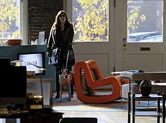 Downward Dog: 1x07 „Getting What You Always Wanted” - zdjęcia promocyjne