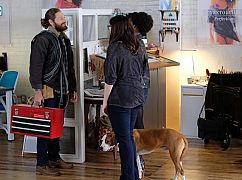 Downward Dog: 1x07 „Getting What You Always Wanted” - zdjęcia promocyjne