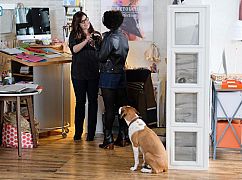 Downward Dog: 1x07 „Getting What You Always Wanted” - zdjęcia promocyjne