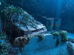 Zoo: 3x03 „Ten Years Gone” - zdjęcia promocyjne