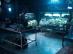 Zoo: 3x03 „Ten Years Gone” - zdjęcia promocyjne