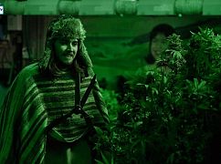 Zdjęcia promocyjne 1 sezonu serialu „Disjointed”