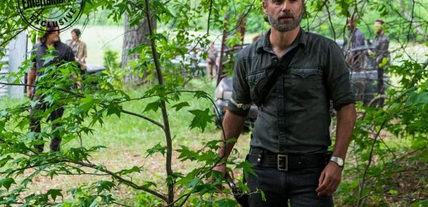 Zobacz zdjęcia z 8 sezonu „Żywych trupów”