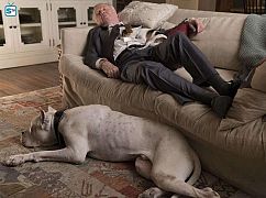 Ray Donovan: 5x03 „Dogwalker” - zdjęcia promocyjne