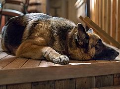Chesapeake Shores: 2x04 „It's Always Nashville” - zdjęcia promocyjne