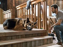 Chesapeake Shores: 2x05 „Buried Treasures” - zdjęcia promocyjne