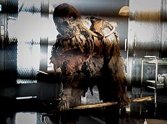 Gotham: 4x02 „The Fear Reaper” - zdjęcia promocyjne