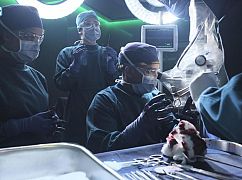 The Good Doctor: 1x04 „Pipes” - zdjęcia promocyjne