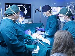 The Good Doctor: 1x05 „Point Three Percent” - zdjęcia promocyjne
