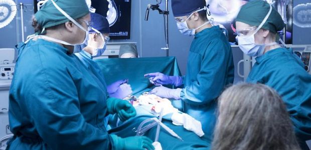 „The Good Doctor” najchętniej oglądanym serialem w ciągu tygodnia