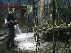 Hawaii 5.0: 8x05 „Kama’oma’o, ka ‘aina huli hana” - zdjęcia promocyjne