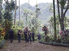 Hawaii 5.0: 8x05 „Kama’oma’o, ka ‘aina huli hana” - zdjęcia promocyjne